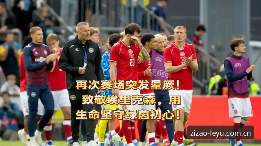 LEYU中国篮球亚盘指数 埃里克森赛场晕倒事件全解析——用乐鱼体育平台看懂球员生死时刻
